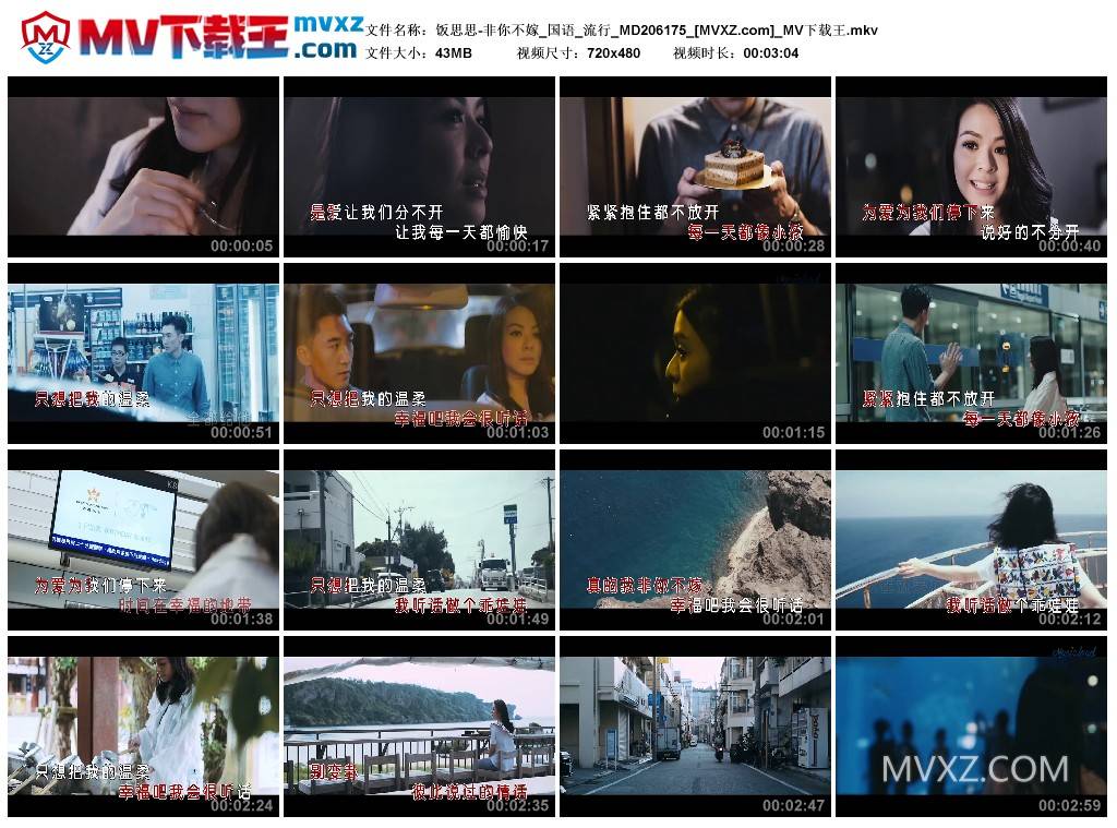 饭思思-非你不嫁_国语_流行_MD206175